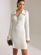 Contrast Trim Collar Long Sleeve Mini Dress